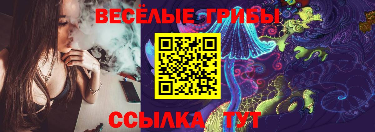 Галлюциногенные грибы ЛСД  Вход с VPN  Тавда 